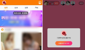 2020最新版运营级大秀/打赏/带支付+视频教程等