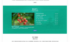 【站长亲测版】织梦培训学校机构网站源码 响应式课程培训中心学校教育DEDECMS模板源码下载(自适应手机) 带有安装说明