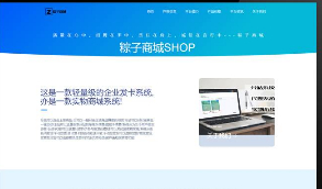 【粽子商城】完美版粽子简约大气纯HTML官网展示模板   比较适合做平台官网，比如：代刷，商城，秒赞，代挂，互赞等，内送防红域名
