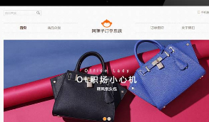 【豪华版阿狸子订单系统】2020最新版商城前台程序与会员模块增加分销模块与多套单页模板[支持多个支付接口]  带有安装教程