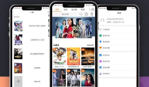 站长亲测版新UI新版JAVA原生双端影视APP投屏影视APP源码  带有安装说明