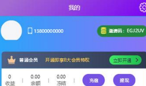 【京唯淘拼抢单系统】全新二开UI界面更新运营级京东淘宝唯品会拼多多自动抢单系统带收单返利区块链资金盘源码