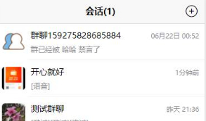 站长亲测版 微聊/原生APP/带教程/带机器人