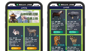 【丛林狩猎区块系统源码】最新运营版华登区块模式宠物养成系统源码