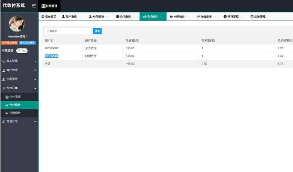 支付源码 代收付系统 手工代付