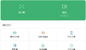 高仿wx钱包页H5网站源码